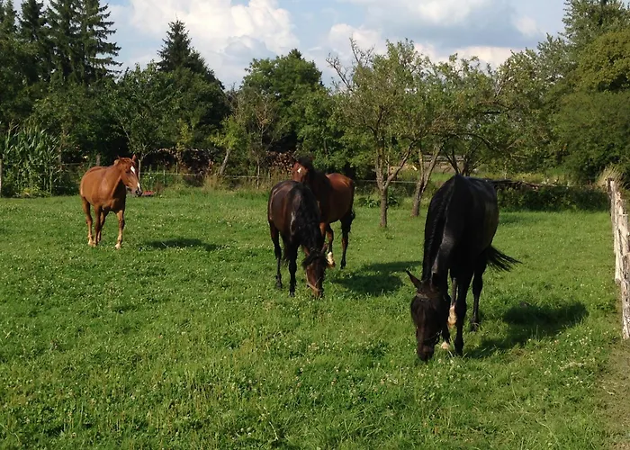 Les Croises&spa 펜션 *